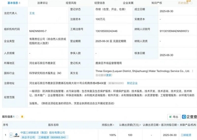三峡能源进军水务技术市场 百万元投资前景与多层面影响分析