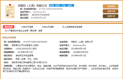 特斯拉的中国之路 独资模式下的技术咨询与转让新篇章